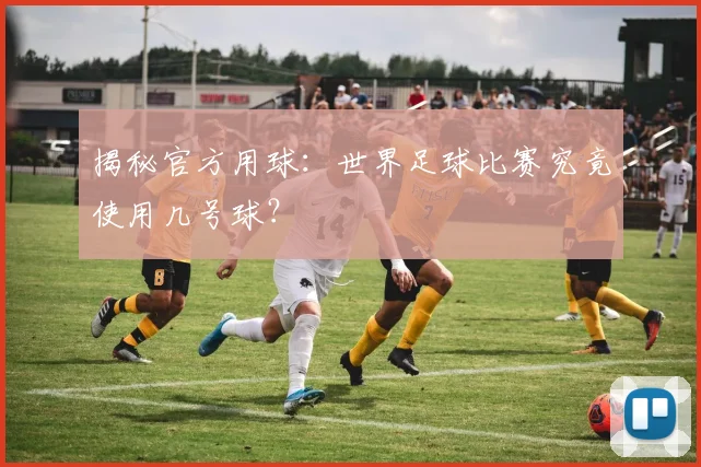 揭秘官方用球：世界足球比赛究竟使用几号球？