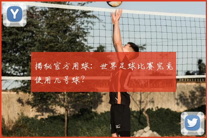 揭秘官方用球：世界足球比赛究竟使用几号球？